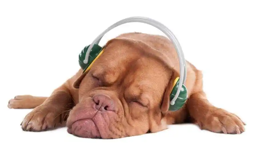Is it bad to wear noise cancelling headphones while sleeping